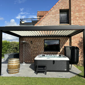 pergo spa antares bjork vue face
